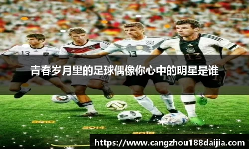 青春岁月里的足球偶像你心中的明星是谁